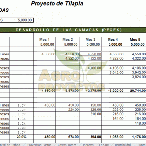 Proyecto de engorda de tilapia